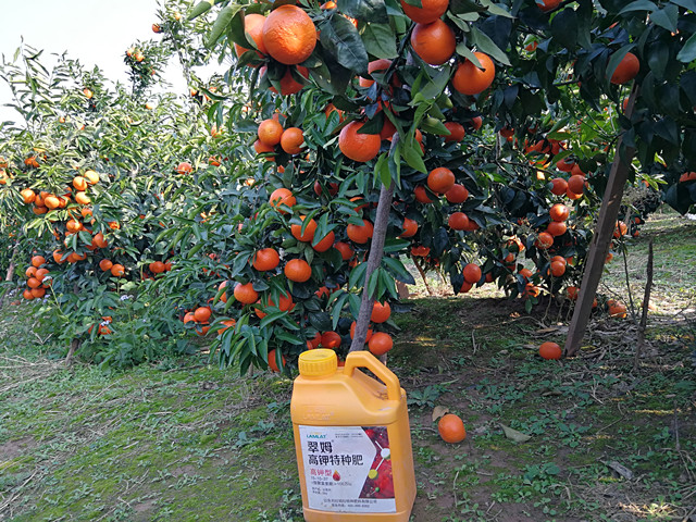 沖施肥,水溶肥,拉姆拉