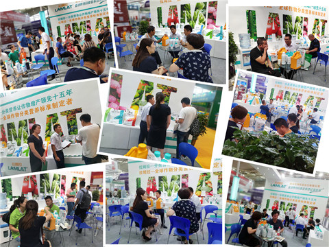 新疆，植保會，拉姆拉，翠姆，伯示麥