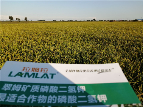 葉面肥，磷酸二氫鉀