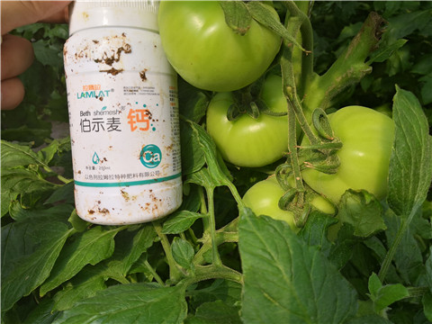 葉面肥，磷酸二氫鉀，鈣肥