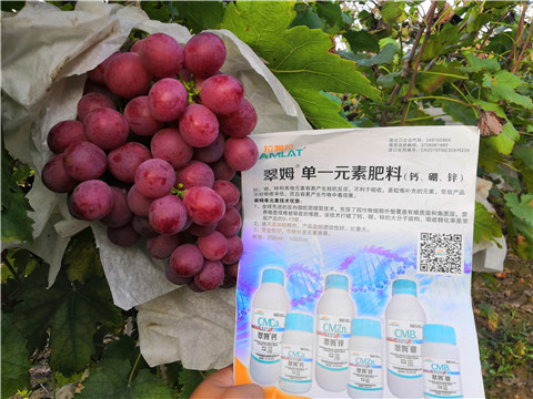 水溶肥，鈣肥，硼肥