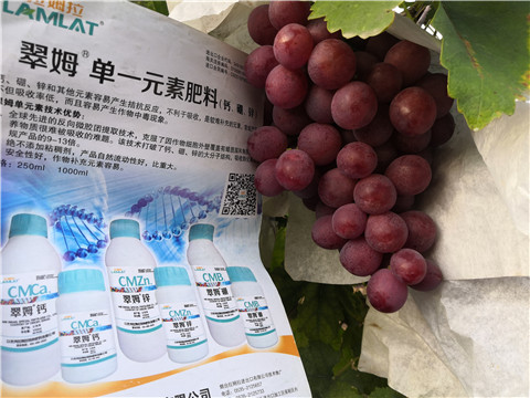 水溶肥，鈣肥，硼肥