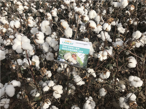 水溶肥，根碧多，生物菌劑