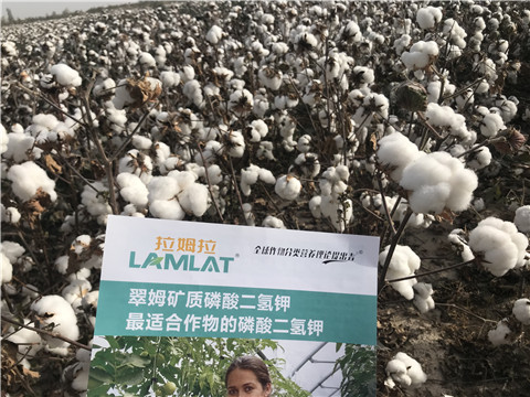 水溶肥，根碧多，生物菌劑