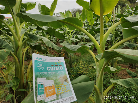 葉面肥，微生物菌劑，硼肥，水溶肥