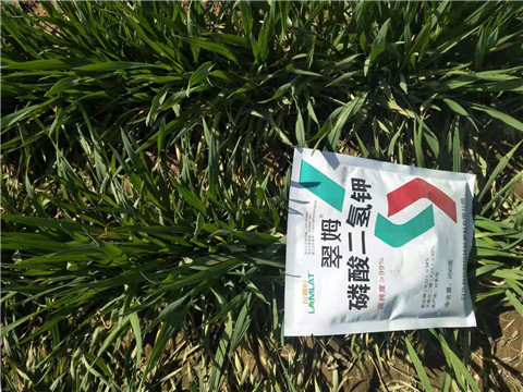 磷酸二氫鉀，