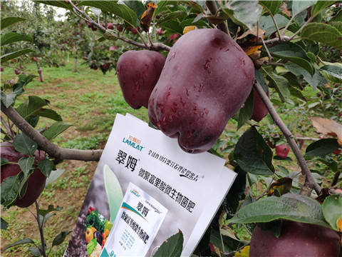 微生物菌劑，