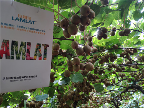 磷酸二氫鉀，葉面肥