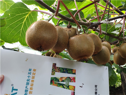 磷酸二氫鉀，葉面肥