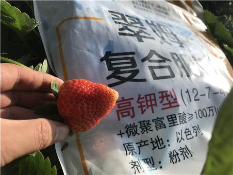 水溶，拉姆拉，翠姆