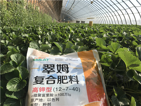 水溶，拉姆拉，翠姆