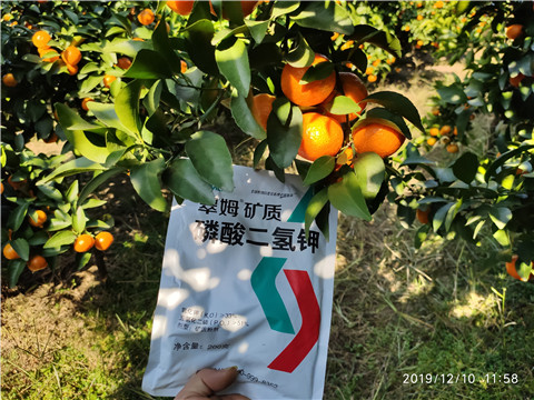 水溶肥，磷酸二氫鉀