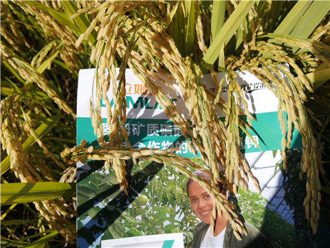 水溶肥，磷酸二氫鉀，