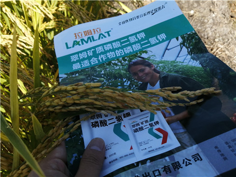 水溶肥，磷酸二氫鉀，