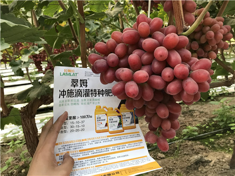 沖施肥，拉姆拉