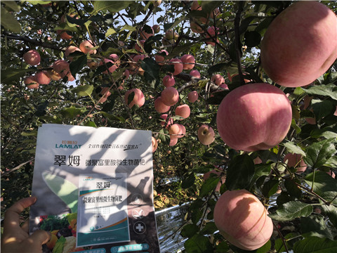 水溶肥，磷酸二氫鉀，微生物菌劑