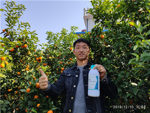 硼肥，拉姆拉