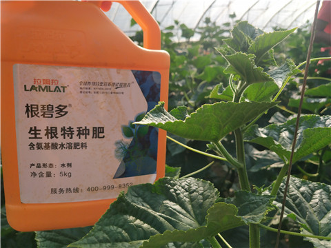 拉姆拉，根碧多，微生物菌劑