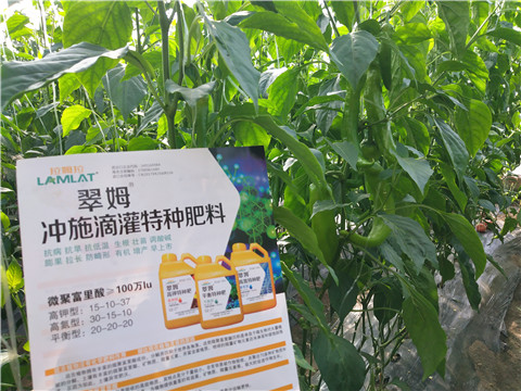 水溶肥，硼肥