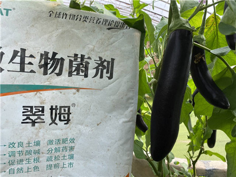 微生物菌劑，拉姆拉