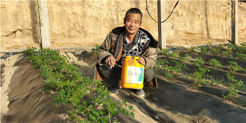 生根劑，拉姆拉