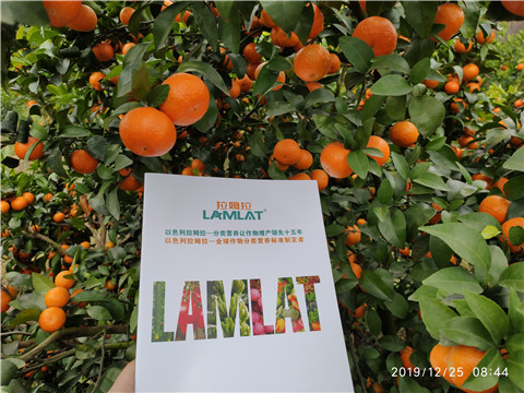 沖施肥，拉姆拉