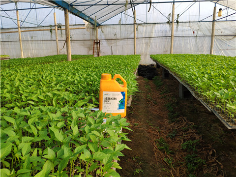 水溶肥，