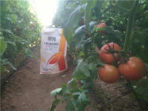 大量元素水溶肥，拉姆拉 