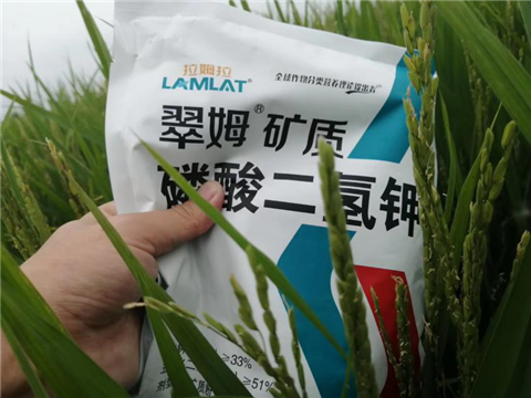 農(nóng)資經(jīng)銷商，拉姆拉，磷酸二氫鉀