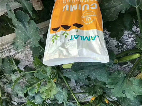 水溶肥，拉姆拉