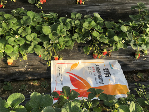 水溶肥，葉面肥，根碧多