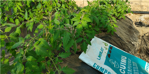 磷酸二氫鉀，鈣肥，水溶肥