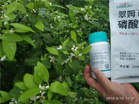 水溶肥，根碧多