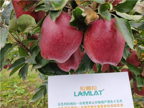 水溶肥 拉姆拉，翠姆