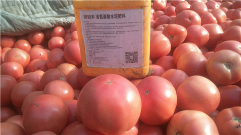 水溶肥，根碧多