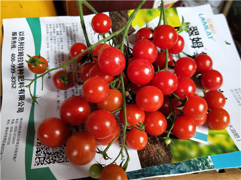 磷酸二氫鉀，鈣肥，根碧多