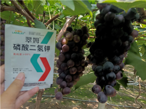 磷酸二氫鉀，葉面肥