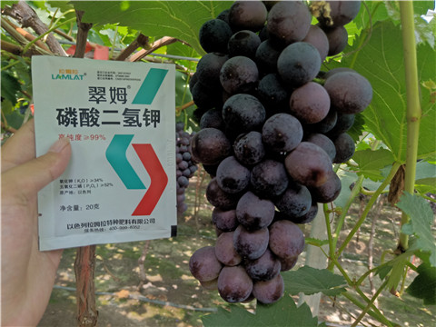 磷酸二氫鉀，葉面肥