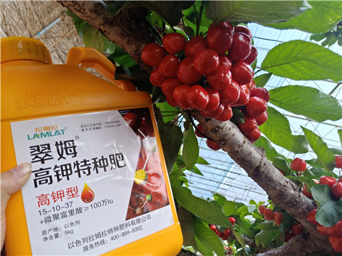 水溶肥，根碧多