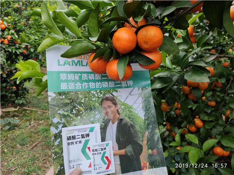 磷酸二氫鉀，鈣肥，硼肥