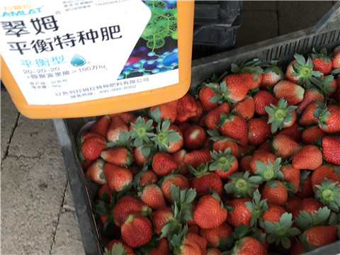 沖施肥，磷酸二氫鉀