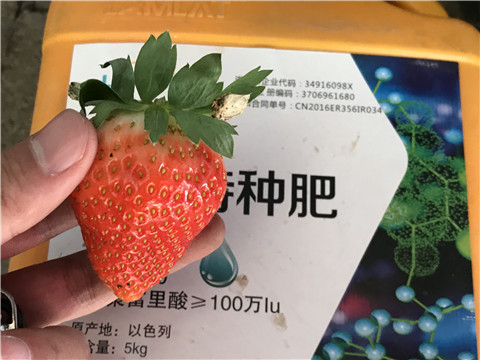 沖施肥，磷酸二氫鉀