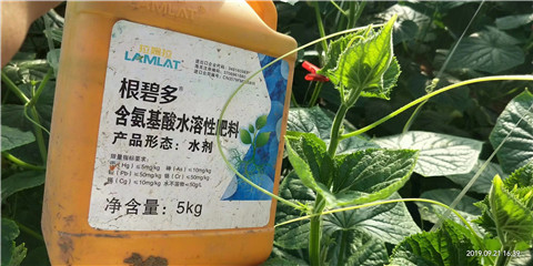 水溶肥，翠姆