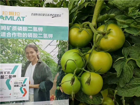 磷酸二氫鉀，鈣肥，水溶肥