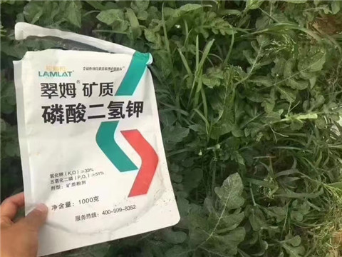 磷酸二氫鉀，硼肥，沖施肥