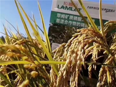 磷酸二氫鉀，翠姆