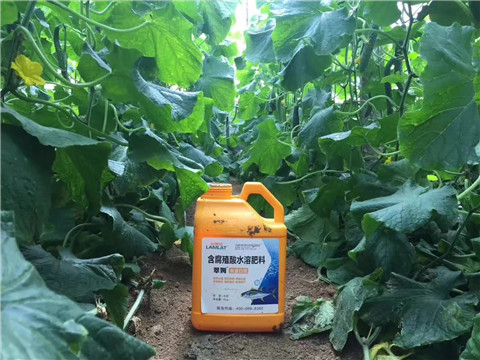 水溶肥，翠姆