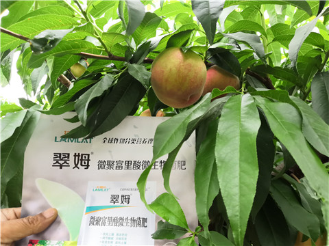 根碧多，微生物菌劑