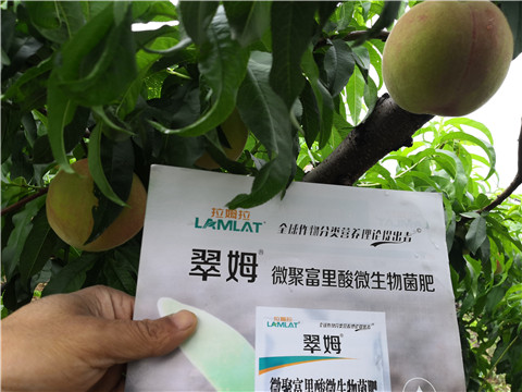 根碧多，微生物菌劑