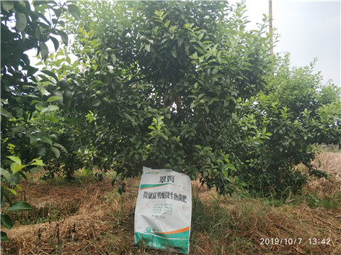 微生物菌劑，拉姆拉